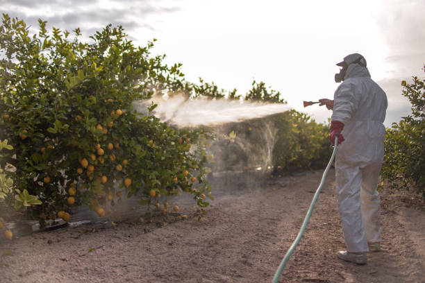 Best Wildlife Control Services  in Cleary, MS
