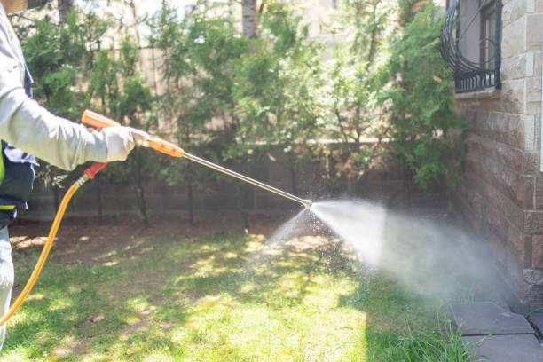 Best Ant Control Services  in Cleary, MS