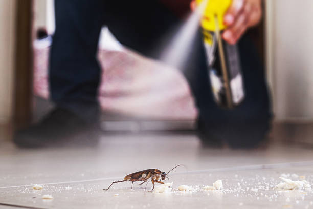Wildlife Control Services in Cleary, MS